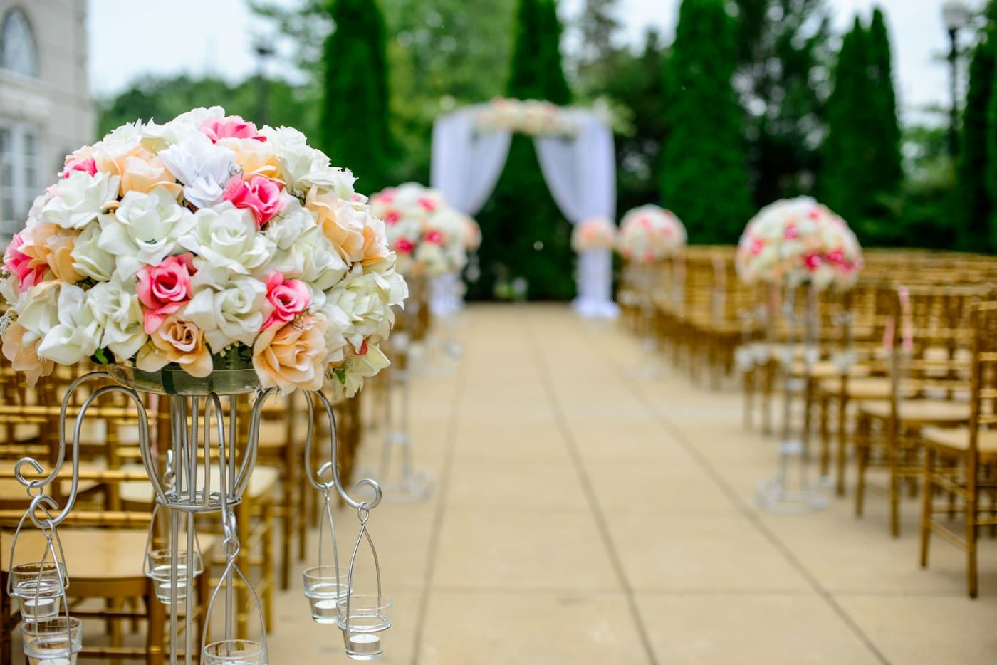 A corridor of chairs and flowers, waiting for someone.